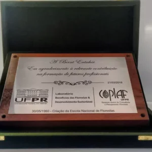 Placa de Homenagem 19