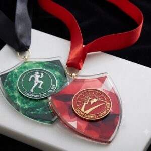 Medalha Em Acrílico MD04 - Recorte Brasão