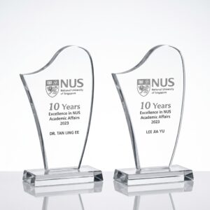 Troféu em Acrilico Modelo Corte Especial com lapidação nas Bordas e Base em Material Cristal - TF02